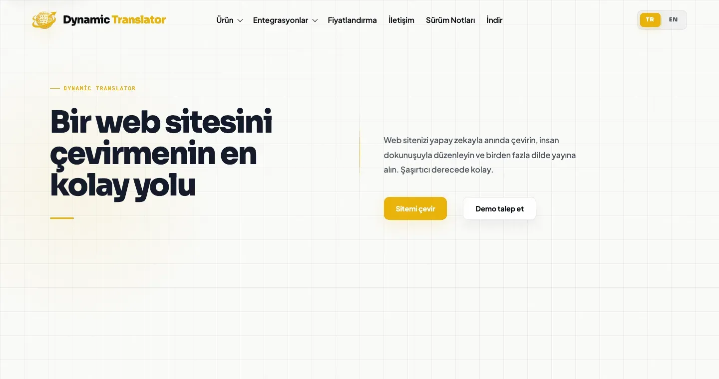 Dynamic Translator tanıtım sitesinin ana sayfası