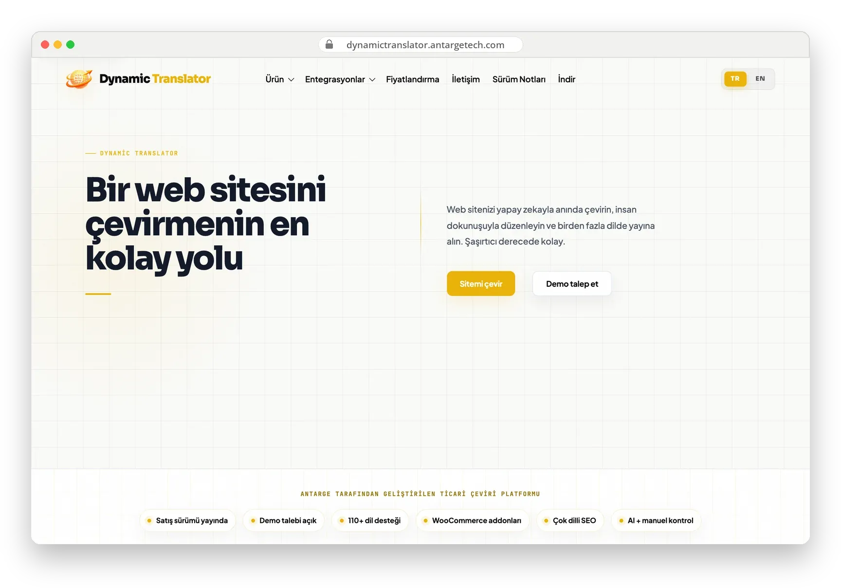 Dynamic Translator