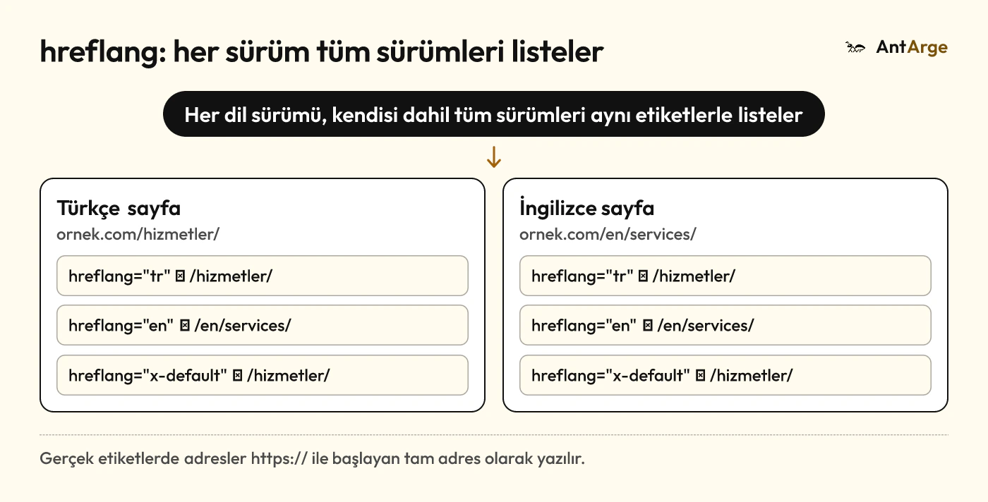 hreflang karşılıklılığı: Türkçe ve İngilizce sayfaların her biri hem kendisini hem diğer dil sürümünü ve x-default adresini listeler.